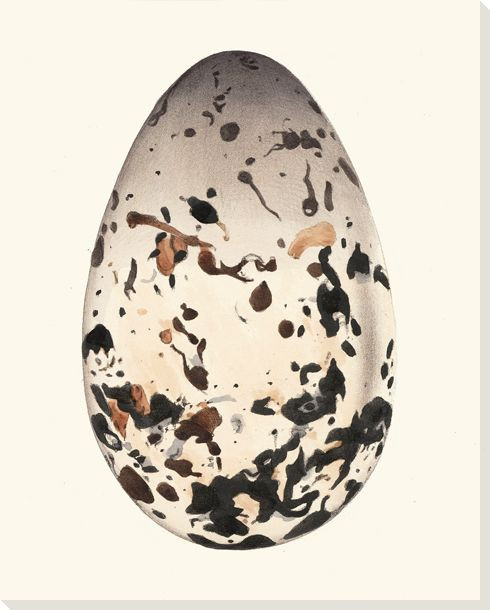 Giant Egg Wrapped Canvas Giclee Print Wall Art
