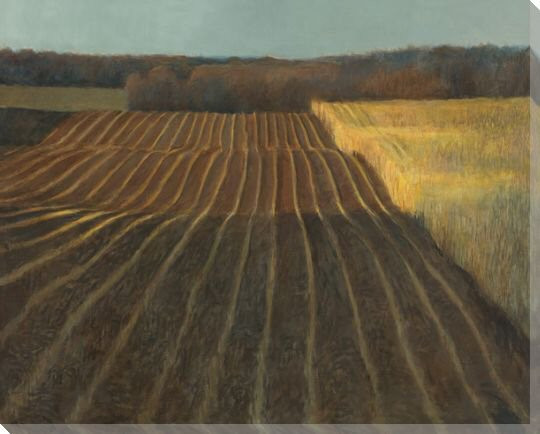 Prairie Field Wrapped Canvas Giclee Print Wall Art