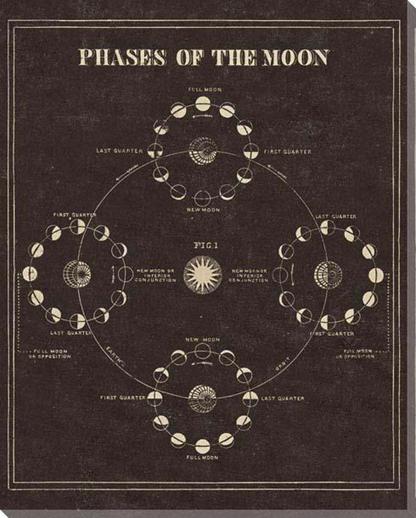Astronomy 101 Phases Of The Moon Wrapped Canvas Giclee Art Print Wall Art