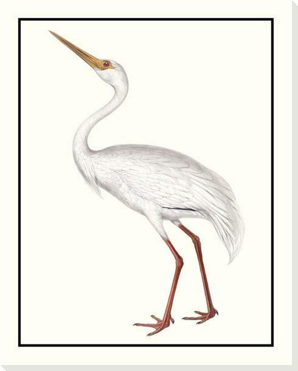 White Crane Bird Wrapped Canvas Giclee Art Print Wall Art