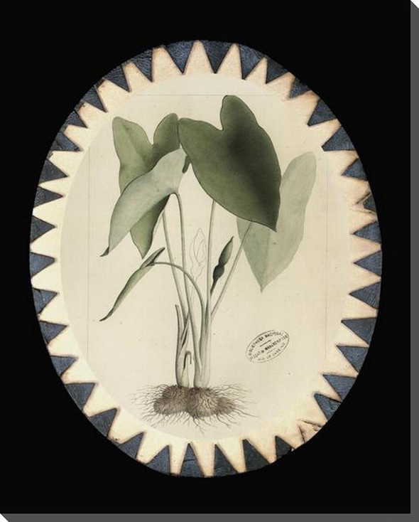 Plant In Silhouette 1 Wrapped Canvas Giclee Art Print Wall Art
