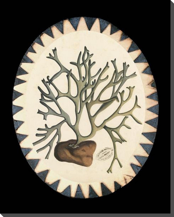 Plant In Silhouette 5 Wrapped Canvas Giclee Art Print Wall Art