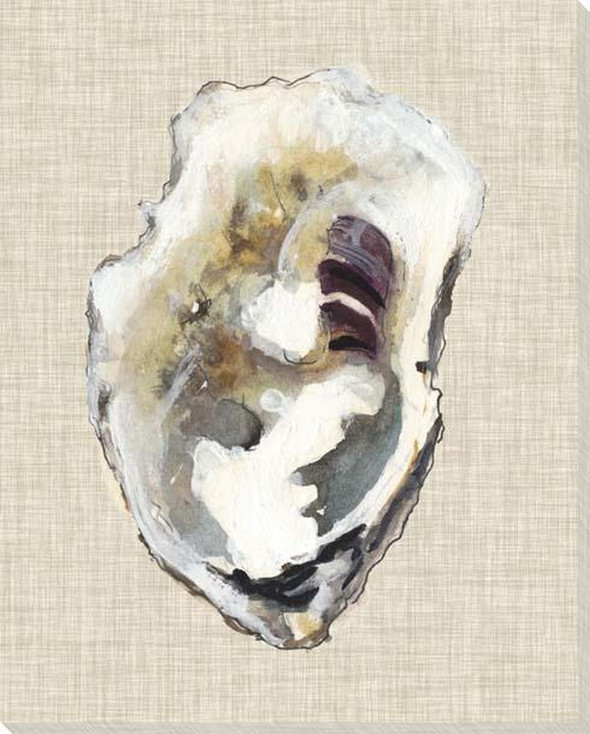 Oyster Shell Study I Wrapped Canvas Giclee Art Print Wall Art