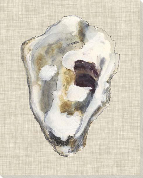 Oyster Shell Study II Wrapped Canvas Giclee Art Print Wall Art