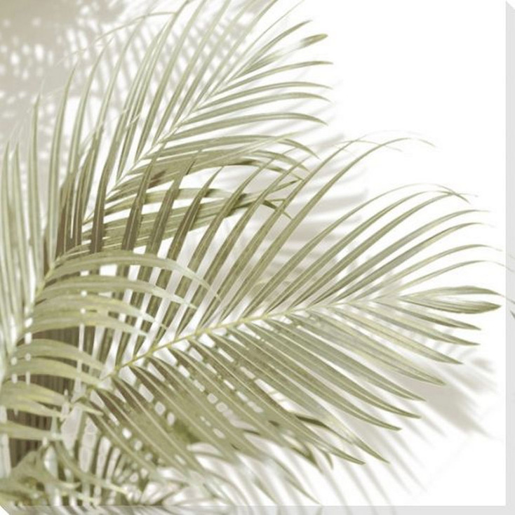 Soft Palm Green I Wrapped Canvas Giclee Art Print Wall Art