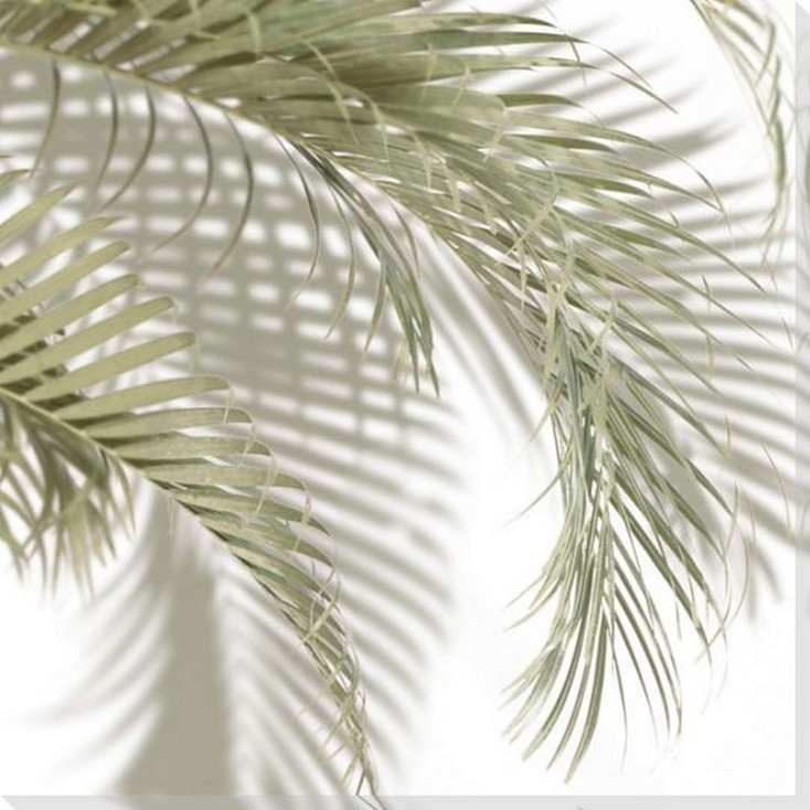 Soft Palm Green II Wrapped Canvas Giclee Art Print Wall Art