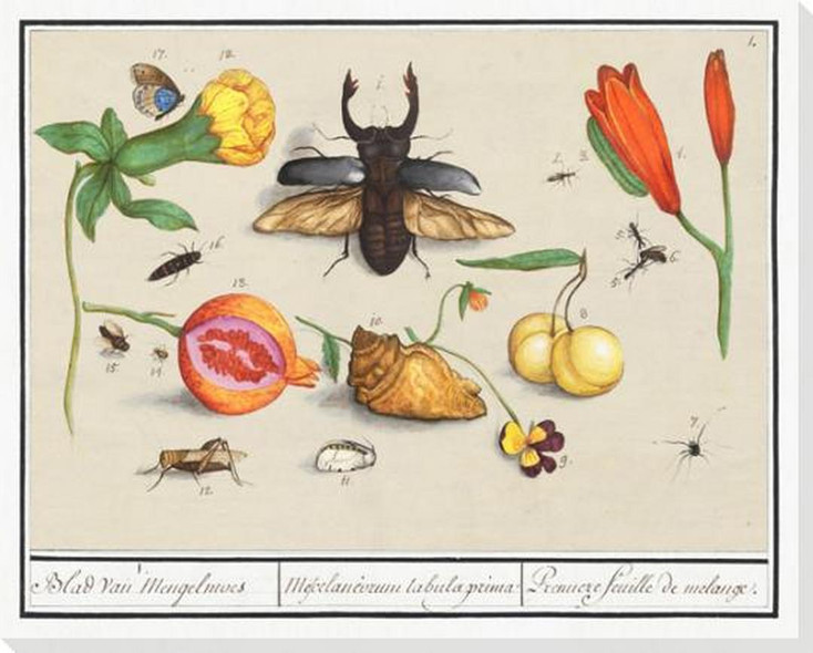 Vie De Jardin 6 Wrapped Canvas Giclee Art Print Wall Art