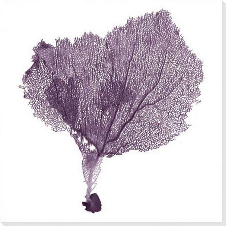 Bright Sea Fan 8 Wrapped Canvas Giclee Art Print Wall Art