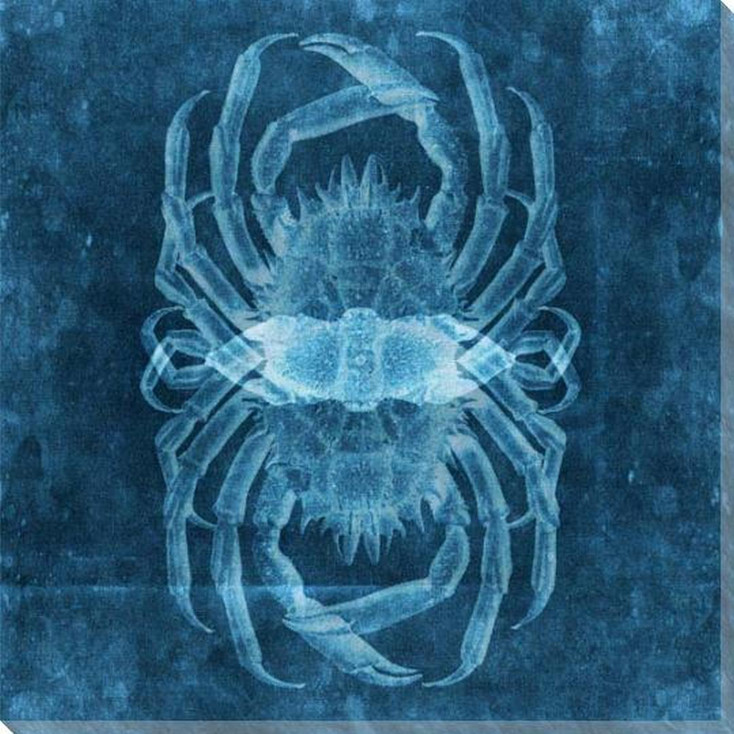 Patterns From The Sea Crab Wrapped Canvas Giclee Art Print Wall Art