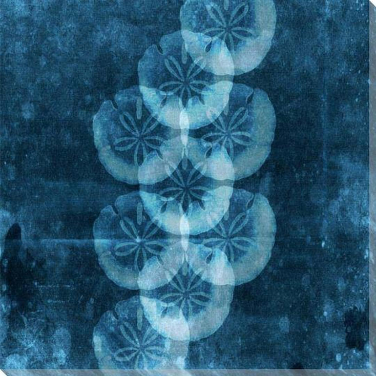 Patterns From The Sea Sand Dollar Wrapped Canvas Giclee Art Print Wall Art