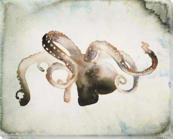 Swimming Octopus Wrapped Canvas Giclee Art Print Wall Art