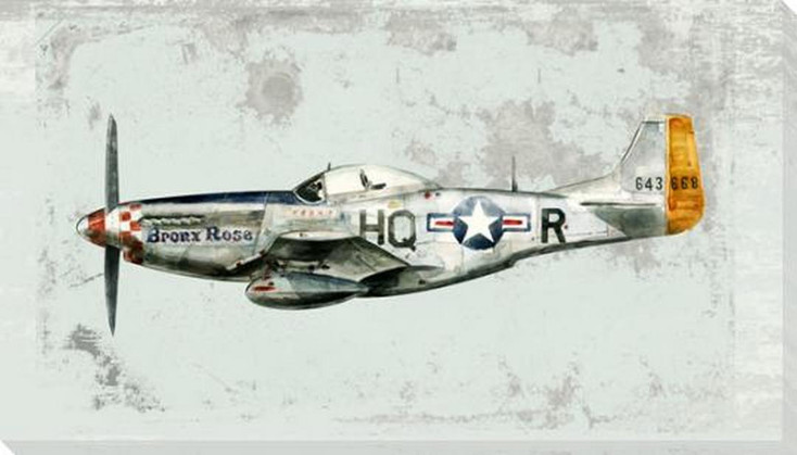 Bronx Rose Plane Wrapped Canvas Giclee Art Print Wall Art