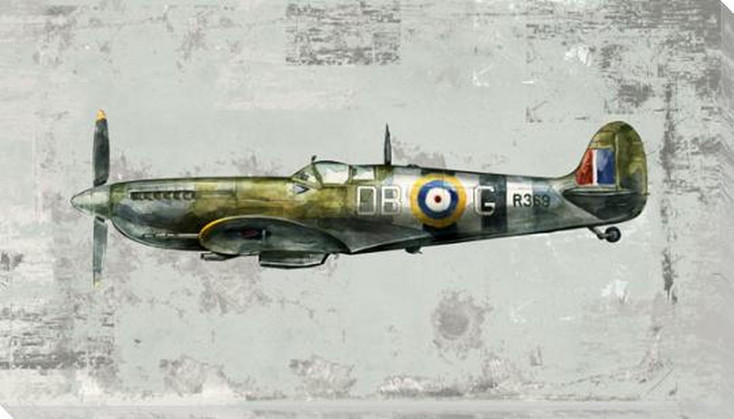 DB-G Plane Wrapped Canvas Giclee Art Print Wall Art