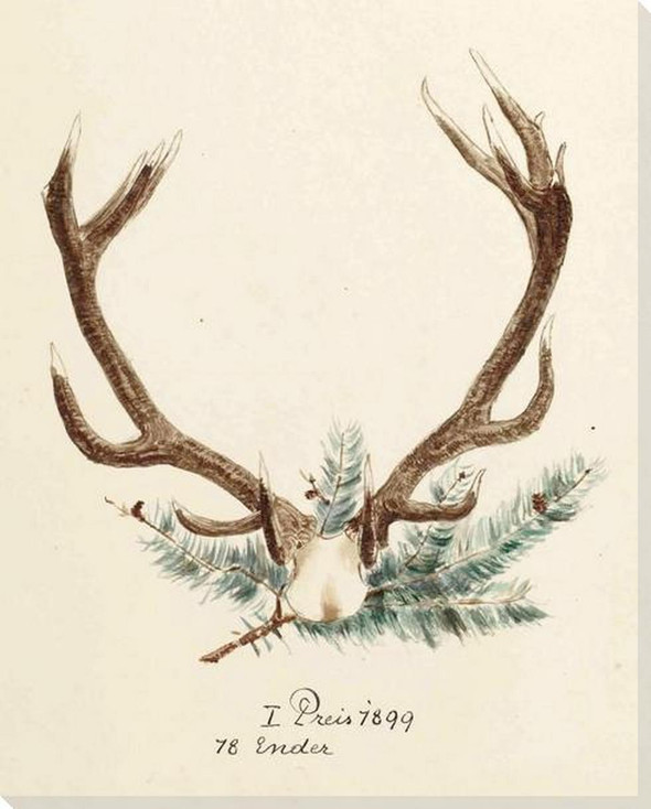 Antler 1895 1 Wrapped Canvas Giclee Art Print Wall Art
