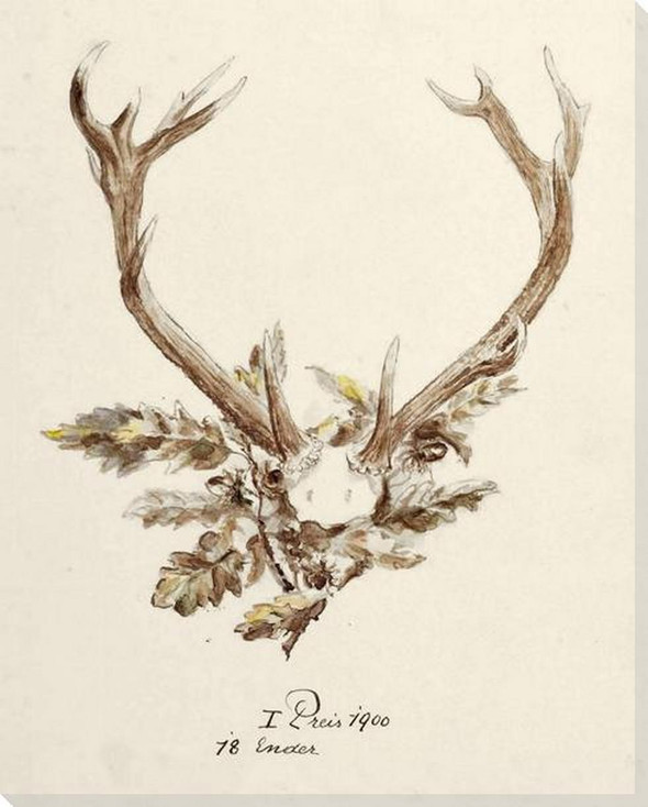 Antler 1895 5 Wrapped Canvas Giclee Art Print Wall Art