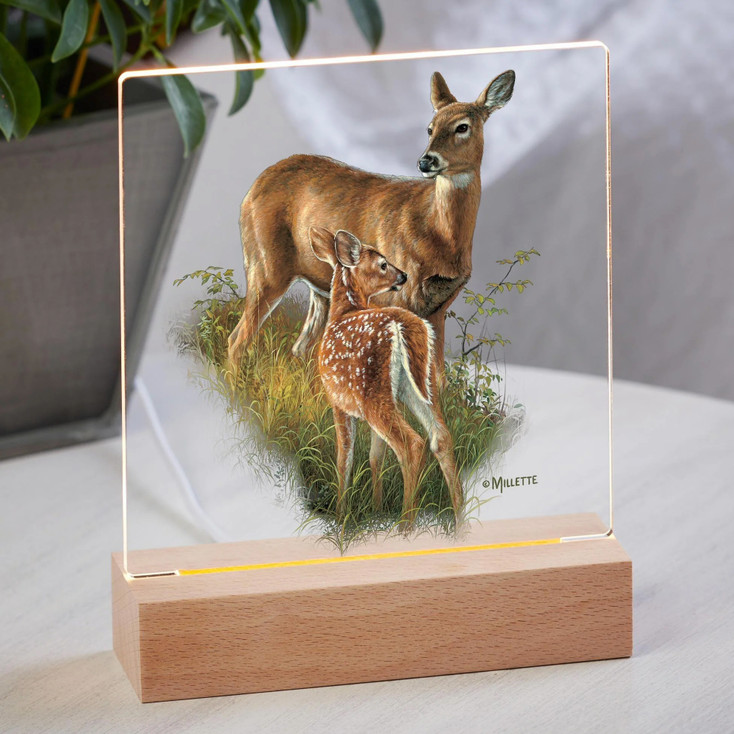 7.25" Birch Creek Whitetail Deer Acrylic LED Lighted Night Light