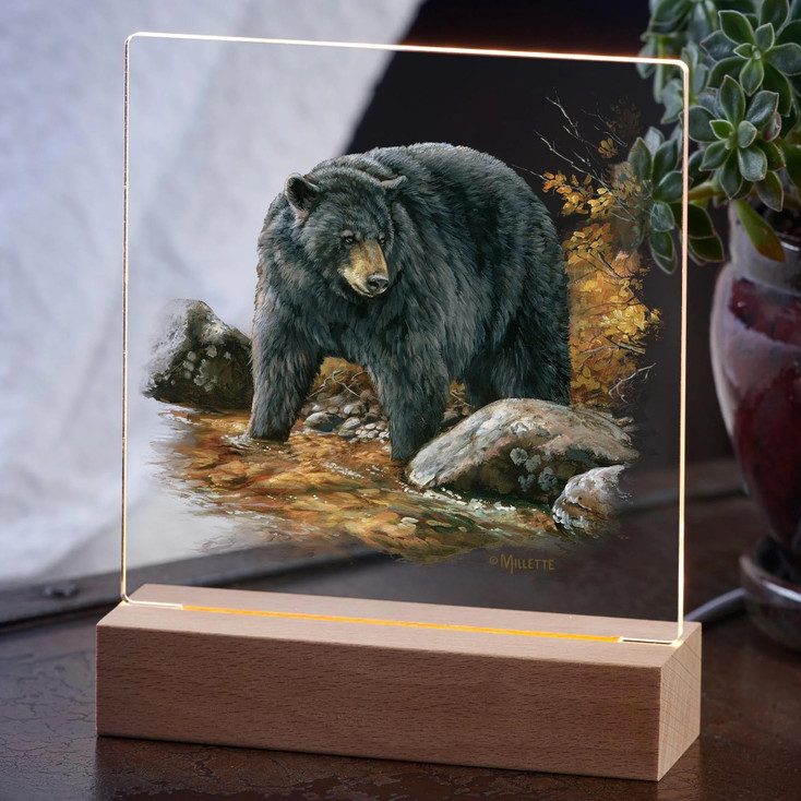 7.25" Streamside Black Bear Acrylic LED Lighted Night Light