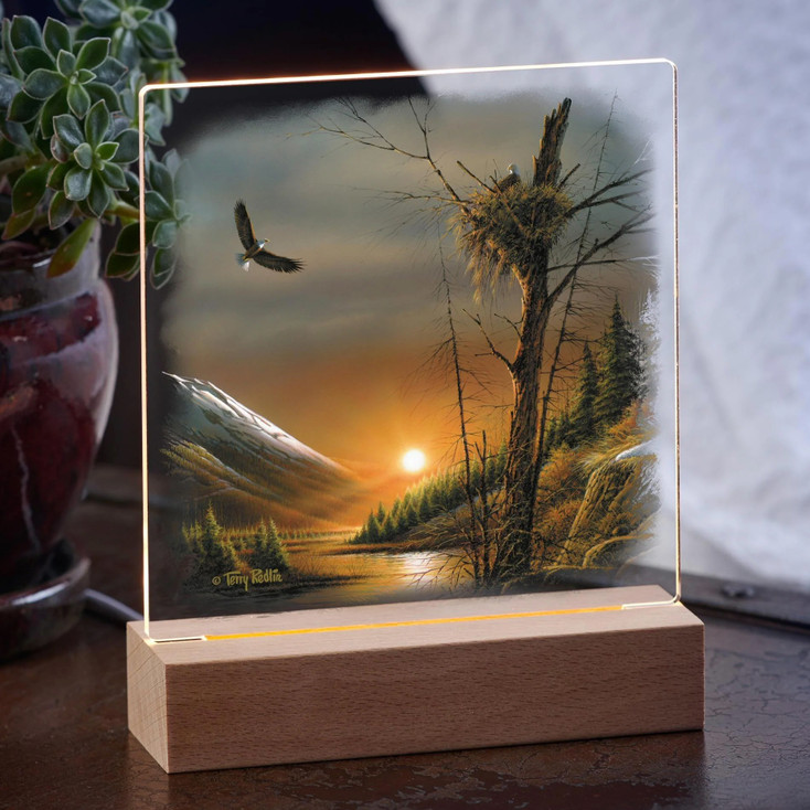 7.25" Flying Free Bald Eagle Acrylic LED Lighted Night Light