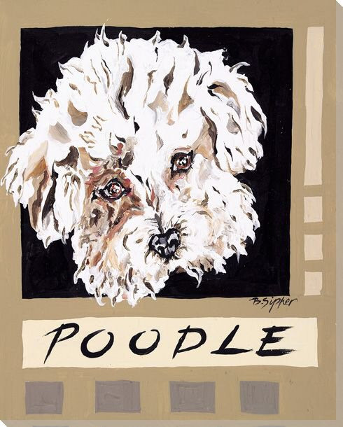 Poodle Dog Wrapped Canvas Giclee Print Wall Art