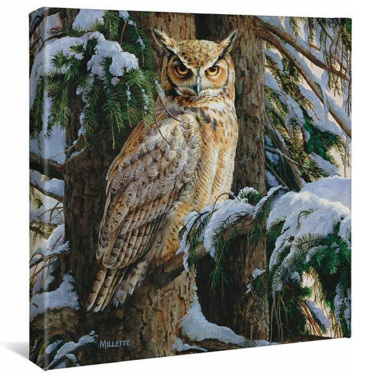 14" x 14" Snowy Perch Great Horned Owl Wrapped Canvas Wall Art