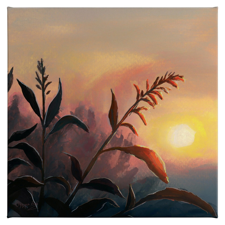14" x 14" Morning Glow Plant Wrapped Canvas Wall Art
