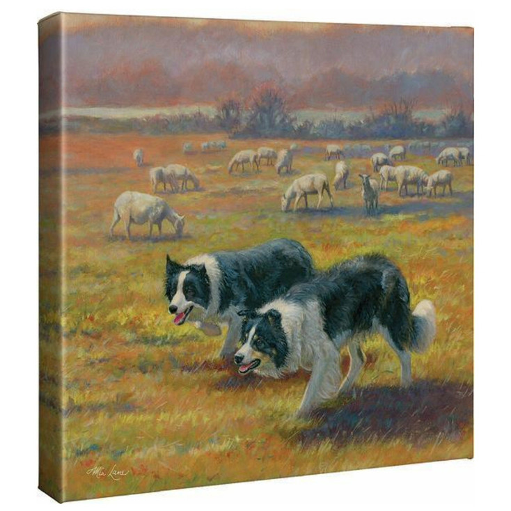 14" x 14" Standoff Collies Dogs & Sheep Wrapped Canvas Wall Art