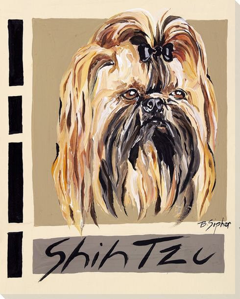 Shih Tzu Dog Wrapped Canvas Giclee Print Wall Art