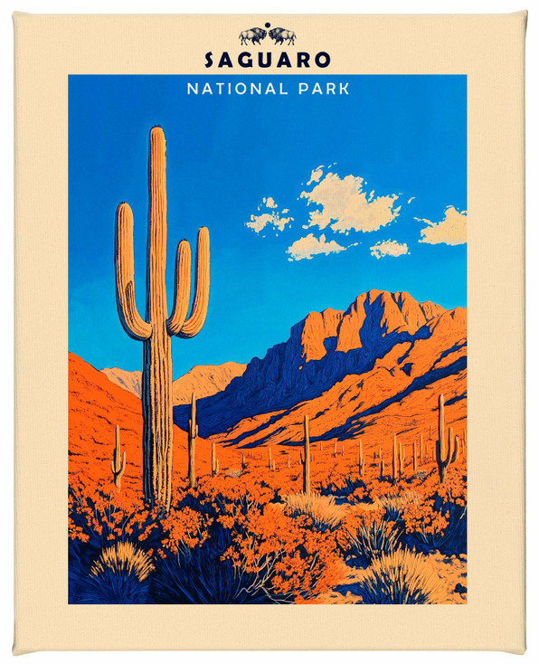 Saguaro National Park Wrapped Canvas Wall Art