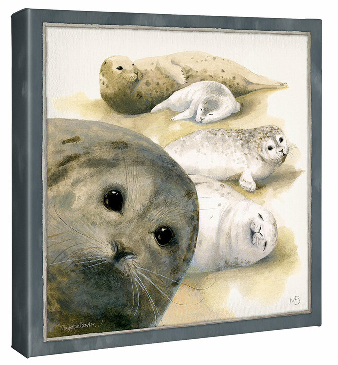 14" x 14" Harbor Seals at Sea Ranch Wrapped Canvas Wall Art