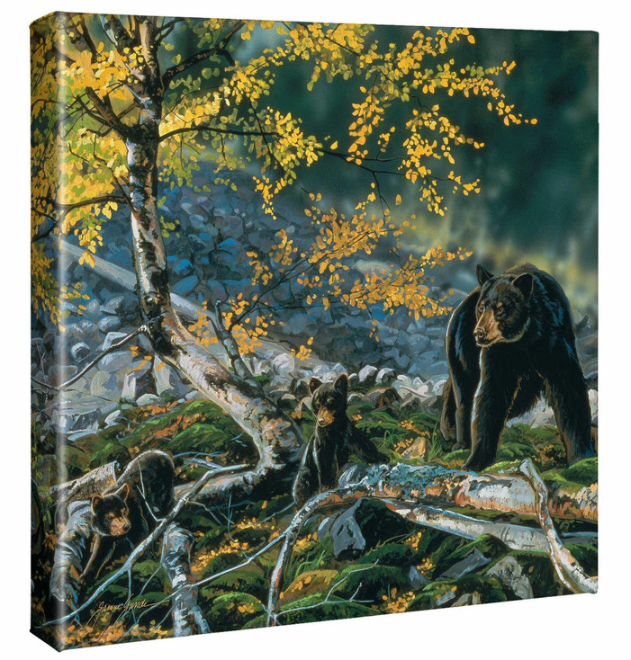 14" x 14" Black Bear and Cubs Wrapped Canvas Wall Art