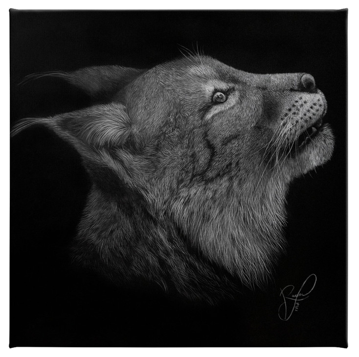 14" x 14" Stealth Lynx Wrapped Canvas Wall Art