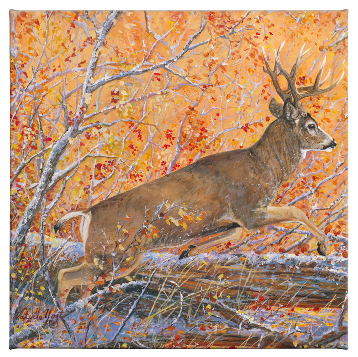 14" x 14" Bustin Cover Mule Deer Wrapped Canvas Wall Art