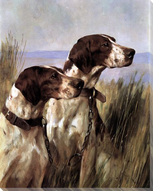 Two Pointer Dogs Wrapped Canvas Giclee Print Wall Art