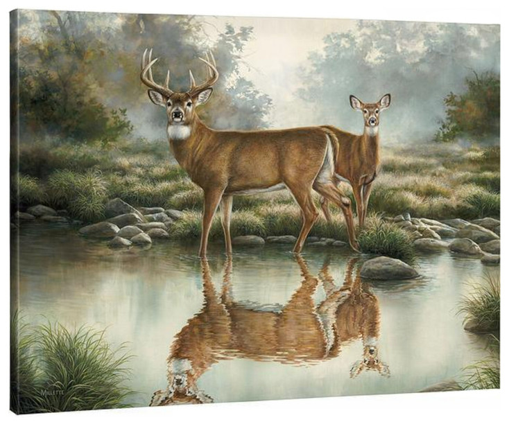 33.5" x 45.5" Tranquil Waters Whitetail Deer Gallery Wrapped Canvas Wall Art