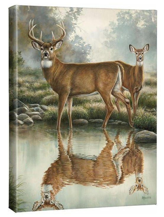 16" x 20.5" Tranquil Waters Whitetail Deer Gallery Wrapped Canvas Wall Art