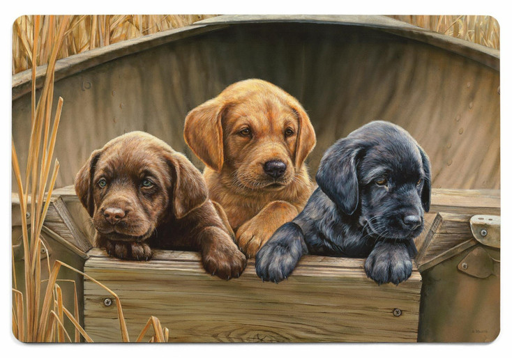 2' x 3' All Hands on Deck Lab Puppies Floor Mat by Rosemary Millette