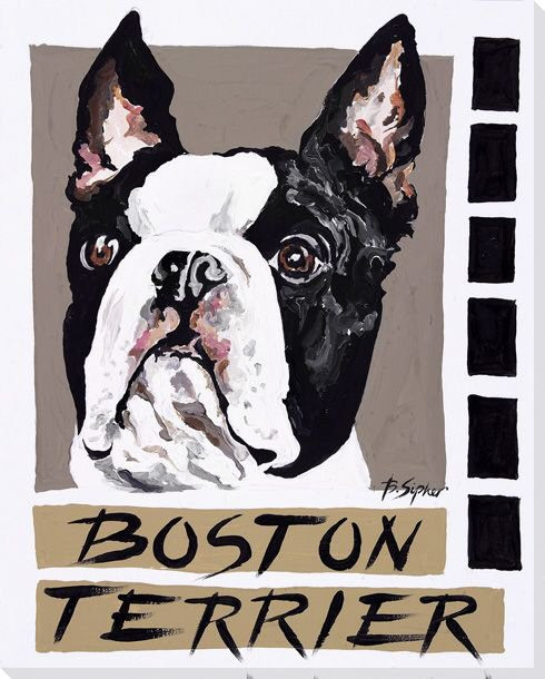 Boston Terrier Dog Wrapped Canvas Giclee Print Wall Art