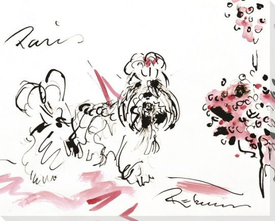 Shih Tzu Dog Sketch Wrapped Canvas Giclee Print Wall Art