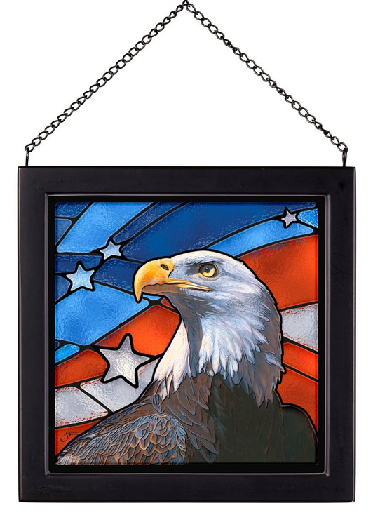 9" x 9" Pride Bald Eagle Bird Square Framed Glass Art