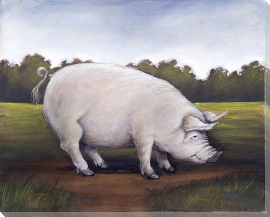 Swine Pig Wrapped Canvas Giclee Print Wall Art