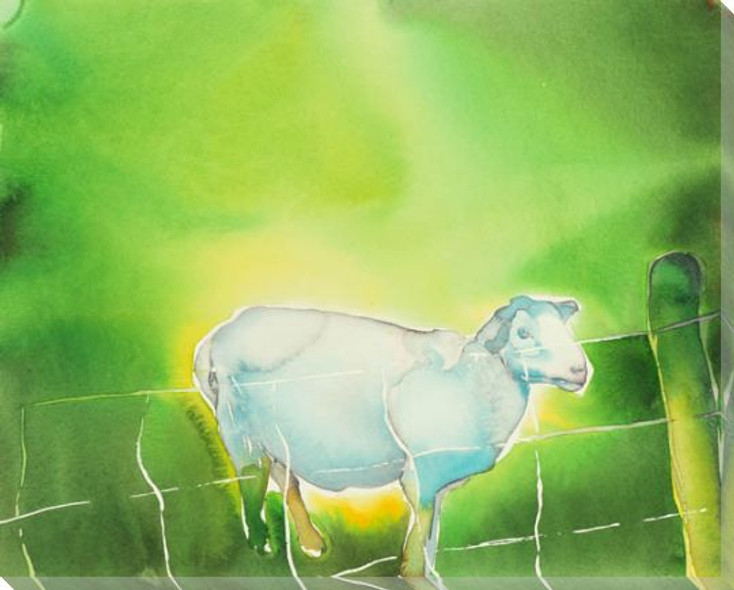 Mouton Sheep Wrapped Canvas Giclee Print Wall Art