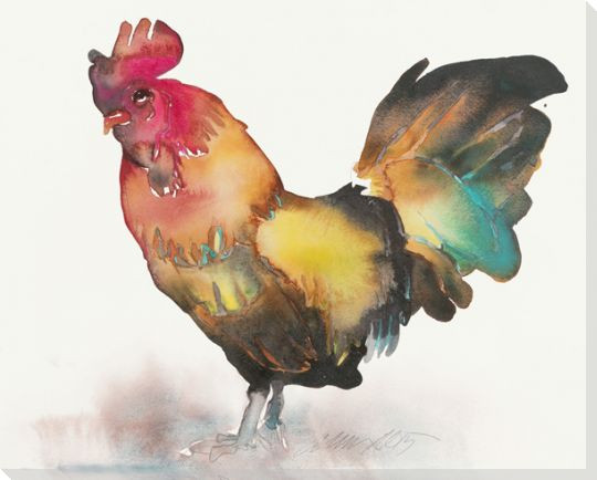 Colorful Rooster Bird Wrapped Canvas Giclee Print Wall Art