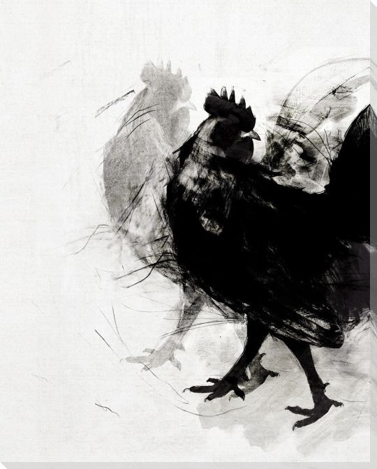 Modern Rooster Birds 3 Wrapped Canvas Giclee Print Wall Art