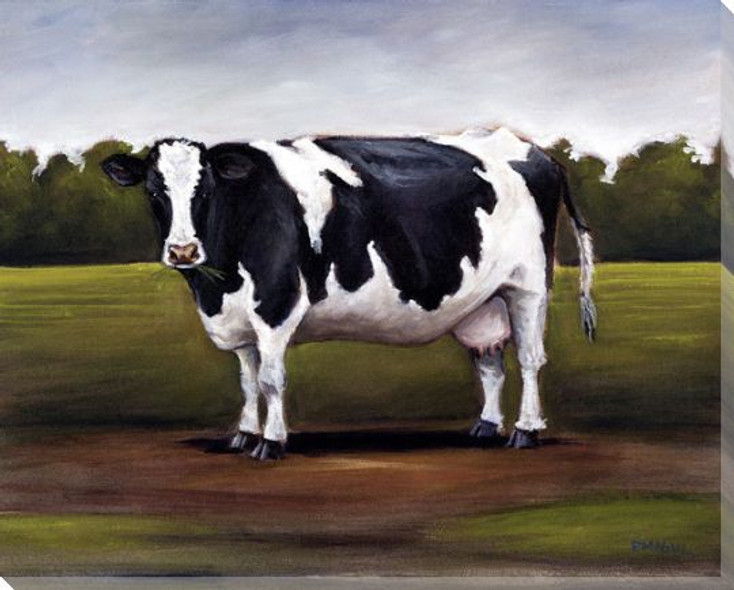 Black and White Dairy Cow Wrapped Canvas Giclee Print Wall Art