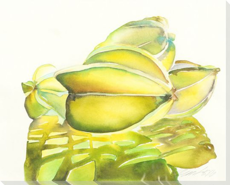 Star Fruit Wrapped Canvas Giclee Print Wall Art