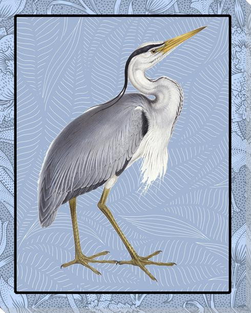 Common Heron Bird In Color Wrapped Canvas Giclee Art Print Wall Art