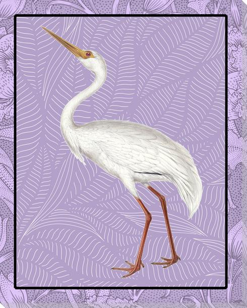 White Crane Bird In Color Wrapped Canvas Giclee Art Print Wall Art