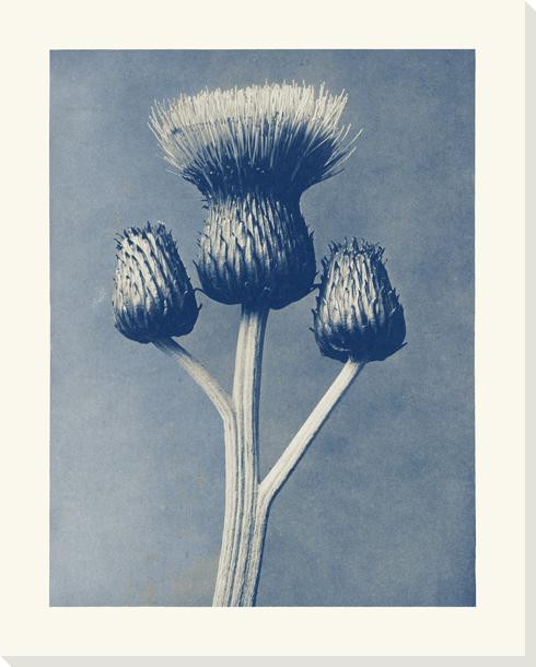 Archetypes In Blue 100 Wrapped Canvas Giclee Art Print Wall Art
