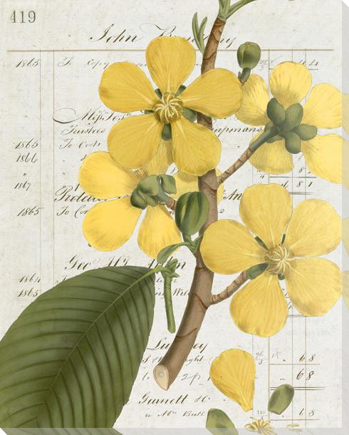 Botanical Collection 4 Wrapped Canvas Giclee Art Print Wall Art