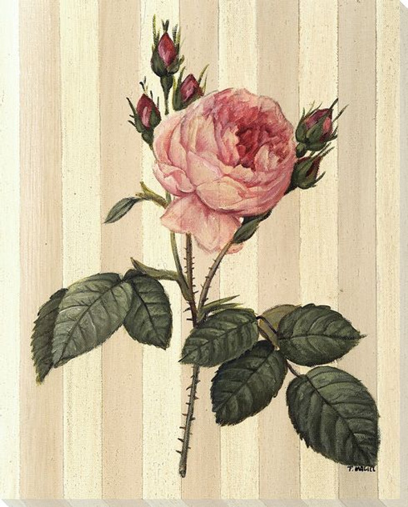 Pink Rose Flower Wrapped Canvas Giclee Print Wall Art